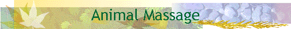 Animal Massage