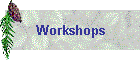 Workshops