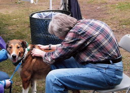 Pet Massage